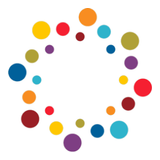 IPDN logo